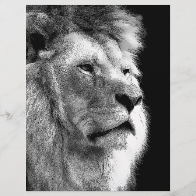Black White Lion (Vorderseite)