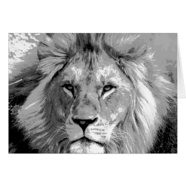 Black White Lion (Vorderseite (Horizontal))