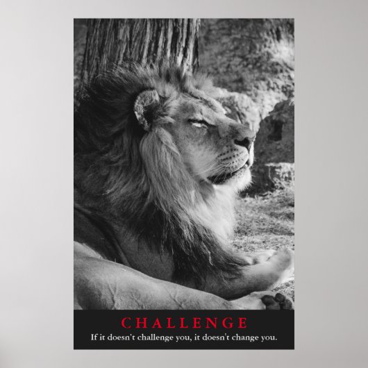 Black & White Lion Challenge Poster (Vorne)