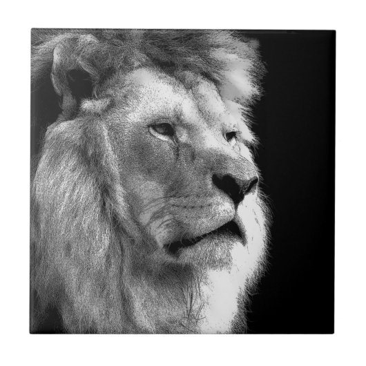 Black White Lion Fliese (Vorderseite)
