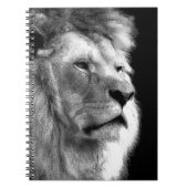 Black White Lion Notizblock (Vorderseite)