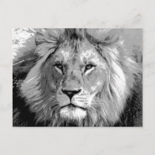 Black White Lion Postkarte