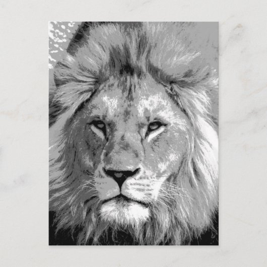 Black White Lion Postkarte (Vorderseite)