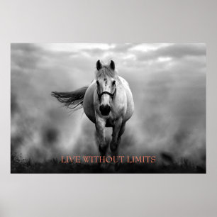 Black White Motivational Horse Live Without Limits Poster