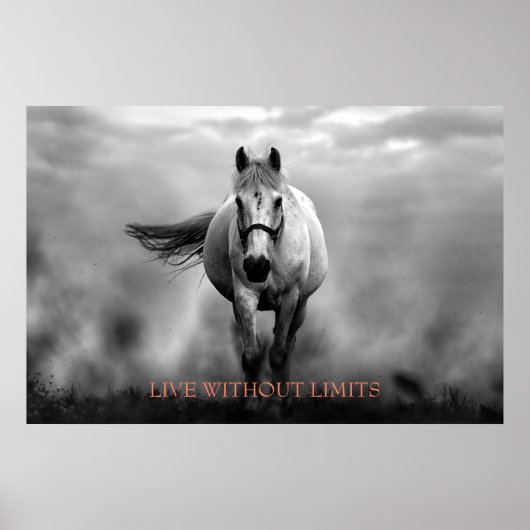 Black White Motivational Horse Live Without Limits Poster (Vorne)