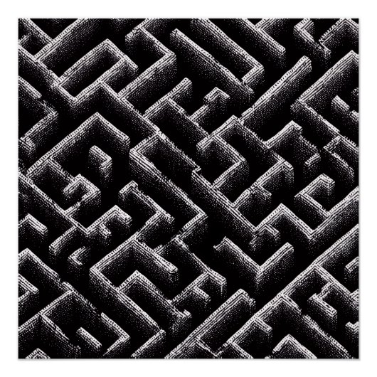 Black & White Optical Illusion Maze Pattern Art Poster (Vorderseite)