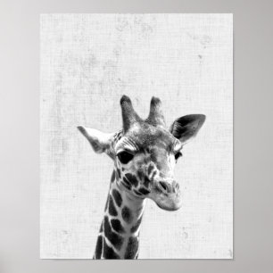 Black & White Peekaboo Giraffe Minimalistisches Ki Poster