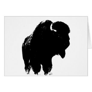 Black & White Pop Bison Buffalo