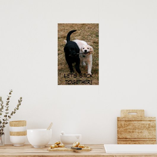 Black & white puppies poster (Küche)