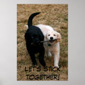 Black & white puppies poster (Vorne)