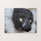 Black & White Ruffed Lemur, Jigsaw Puzzle (Horizontal)