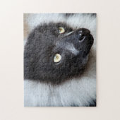 Black & White Ruffed Lemur, Jigsaw Puzzle (Vertikal)