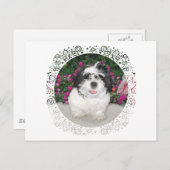 Black & White Shih Tzu Welppy Rescue Dog Postkarte (Vorne/Hinten)