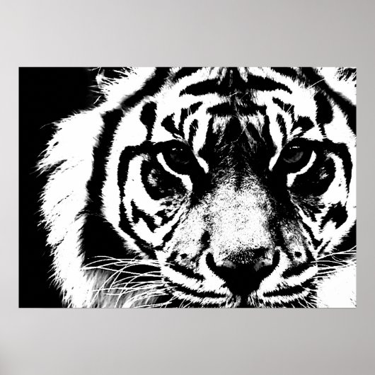 Black & White Sumatran Borneo Tiger Eyes Poster (Vorne)