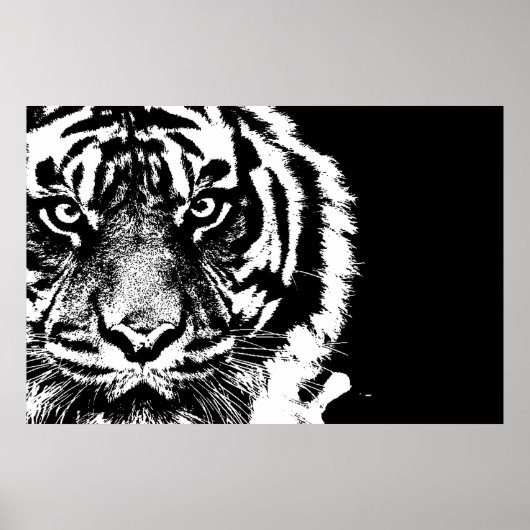 Black & White Sumatran Borneo Tiger Poster (Vorne)