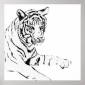 Black & White Tiger Sketch Poster (Vorne)