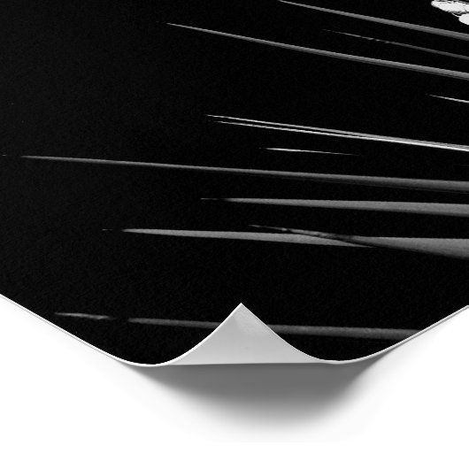 Black & White Yucca von LLR Poster (Ecke)