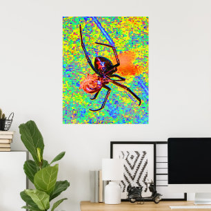 Black Widow Spider Eating Poster