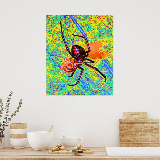 Black Widow Spider Eating Poster (Küche)