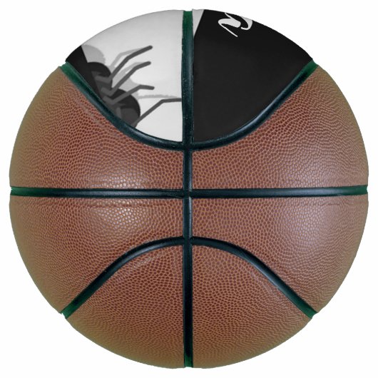Black widow spider pattern basketball (Rechts)