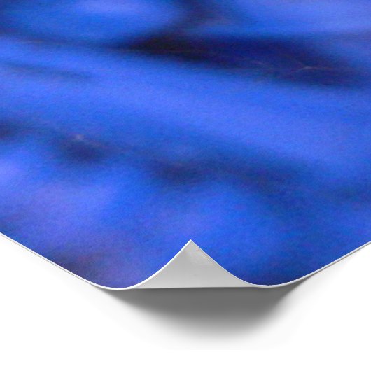 Black Widow Spider Poster (Ecke)