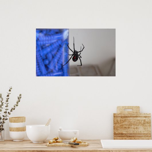 Black Widow Spider Poster (Küche)