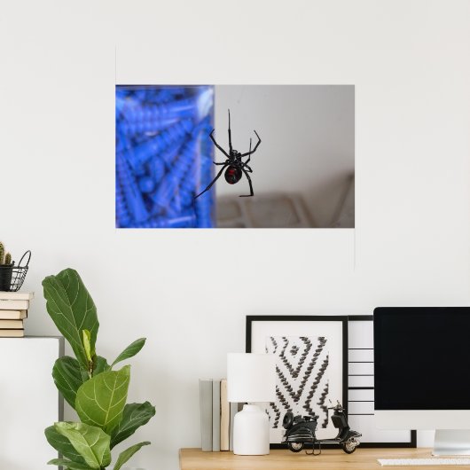 Black Widow Spider Poster (Heimbüro)