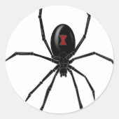 Black WIdow Spider Runder Aufkleber (Vorderseite)
