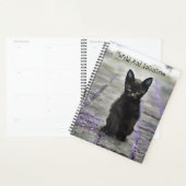 Black Wild Cat Quote Grau Lila Journal Planner Planer (Anzeige)