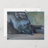 Black Wolf Art Postcard Postkarte (Vorne/Hinten)