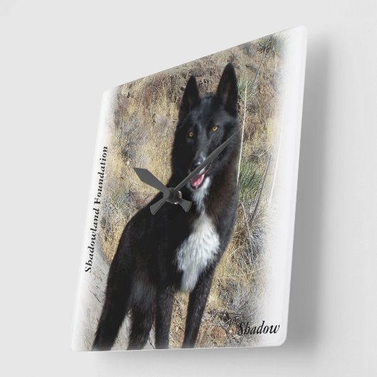 Black Wolf Clock Quadratische Wanduhr (Winkel)