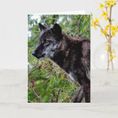 Black Wolf Grußkarte Karte (Gelbe Blume)