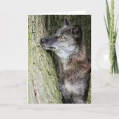 Black Wolf Grußkarte Karte (Vorderseite)
