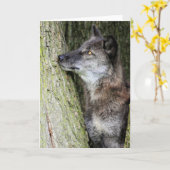 Black Wolf Grußkarte Karte (Gelbe Blume)
