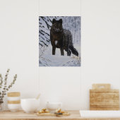 Black Wolf Poster (Küche)
