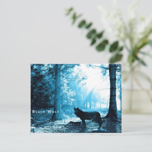 Black Wolf Postkarte (Stehend Vorderseite)