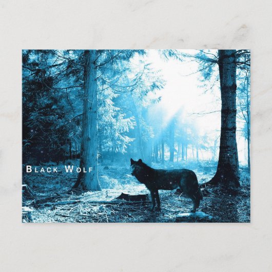 Black Wolf Postkarte (Vorderseite)