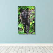 Black Wolf Stretched Canvas Print Leinwanddruck (Insitu (Holzboden))