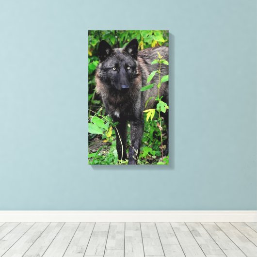 Black Wolf Stretched Canvas Print Leinwanddruck (Insitu (Holzboden))