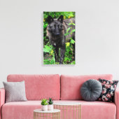 Black Wolf Stretched Canvas Print Leinwanddruck (Insitu (Wohnzimmer))