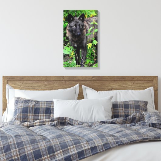 Black Wolf Stretched Canvas Print Leinwanddruck (Insitu (Schlafzimmer))