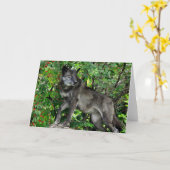 Black Wolf with Red Berries Greeting Card Karte (Gelbe Blume)