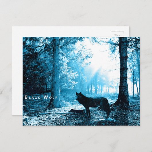 Black Wolf Woods Forest Night Fantasy Postkarte (Vorne/Hinten)