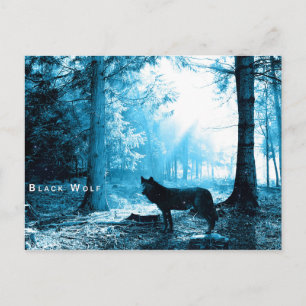 Black Wolf Woods Forest Night Fantasy Postkarte