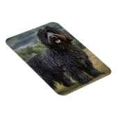 Black Wooly Bergamasco Sheepdog, Magnet (Rechte Seite)