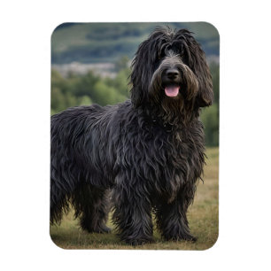 Black Wooly Bergamasco Sheepdog, Magnet