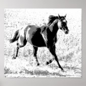 Black Yearling Horse Poster (Vorne)
