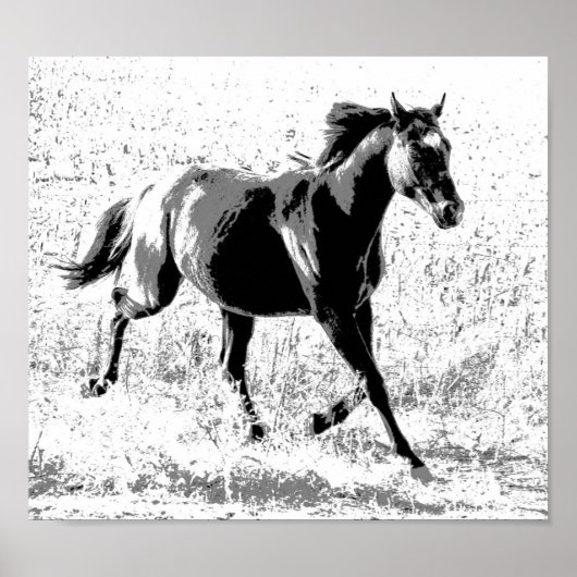 Black Yearling Horse Poster (Vorne)