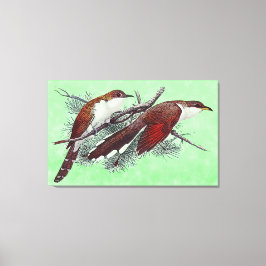 Black & Yellowled Cuckoo Birds Canvas Print Leinwanddruck