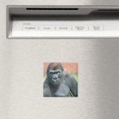 Blackback Gorilla Lope Portrait Magnet (In Situ (Geschirrspüler))